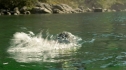 the100_101_1517.jpg