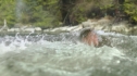 the100_101_1525.jpg