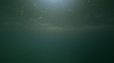 the100_101_1529.jpg