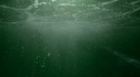 the100_101_1539.jpg