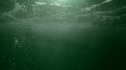 the100_101_1540.jpg