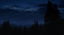 the100_101_1571.jpg