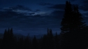 the100_101_1572.jpg