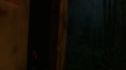 the100_101_1575.jpg