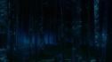 the100_101_1960.jpg