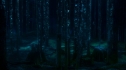 the100_101_1976.jpg