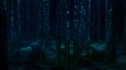 the100_101_1978.jpg