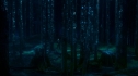 the100_101_1979.jpg