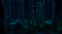 the100_101_1980.jpg