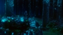 the100_101_1984.jpg
