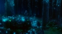 the100_101_1985.jpg