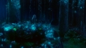 the100_101_1986.jpg