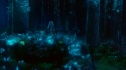 the100_101_1987.jpg