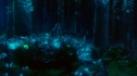 the100_101_1988.jpg