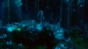 the100_101_1990.jpg