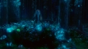 the100_101_1991.jpg