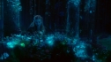 the100_101_1994.jpg