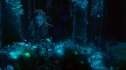 the100_101_1996.jpg