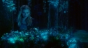 the100_101_1999.jpg