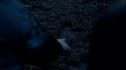 the100_101_2060.jpg