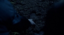 the100_101_2061.jpg