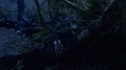 the100_101_2167.jpg