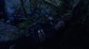 the100_101_2168.jpg