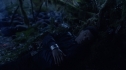 the100_101_2169.jpg