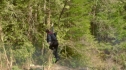 the100_101_2545.jpg