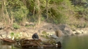 the100_101_2546.jpg