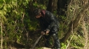 the100_101_2594.jpg