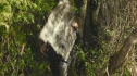 the100_101_2602.jpg