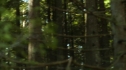 the100_101_2626.jpg