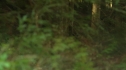 the100_101_2632.jpg