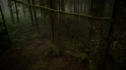 the100_102_0010.jpg