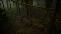 the100_102_0011.jpg