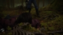 the100_102_0012.jpg