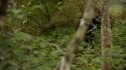 the100_102_0041.jpg
