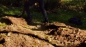the100_102_0181.jpg