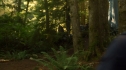 the100_102_0210.jpg