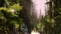 the100_102_0245.jpg