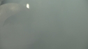 the100_102_0981.jpg