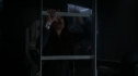 the100_102_1108.jpg