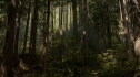 the100_102_1474.jpg