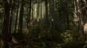 the100_102_1475.jpg