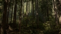 the100_102_1476.jpg