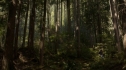 the100_102_1477.jpg