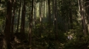 the100_102_1478.jpg
