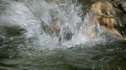 the100_102_1565.jpg