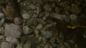 the100_102_1628.jpg